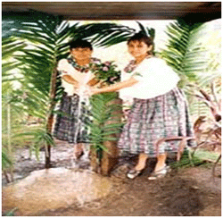 http://www.deguate.com/artman/uploads/22/salama2.gif