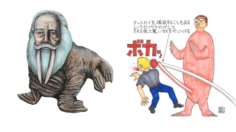 ベストセレクション セイウチ イラスト 写真素材 フォトライブラリー