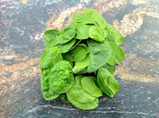 Small Bunch of Spinach