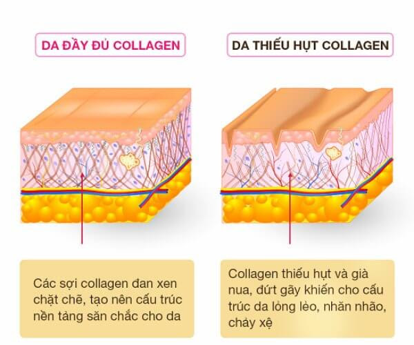 viên uống collagen nào tốt, viên uống collagen có tốt không, viên uống collagen loại nào tốt webtretho, viên uống collagen, viên uống collagen loại nào tốt, viên uống collagen tốt, viên uống collagen tốt nhất
