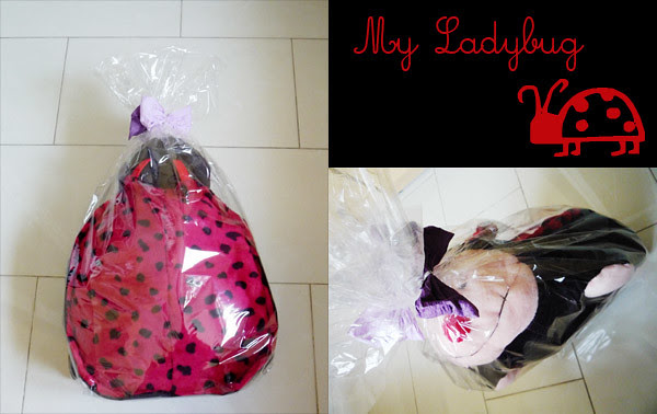 my ladybug