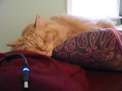 Plug him in and charge him up
