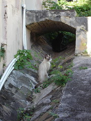 DSC04384.JPG