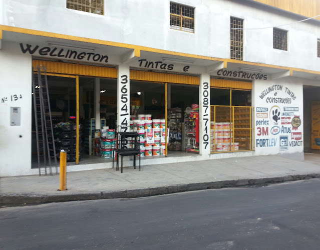 Wellington Materias de Construção