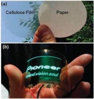 Nanocelulose: nanotecnologia da madeira promete superar plásticos