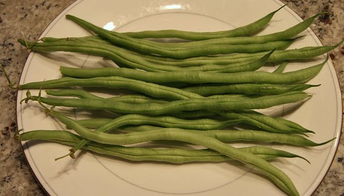fortex green beans