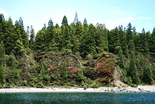 20090614-vs-1041