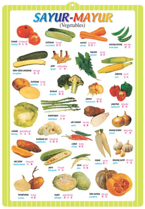 Sayur Dalam Bahasa Arab : Nama Sayur Sayuran Dalam Bahasa Inggris