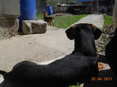 DSCN7182