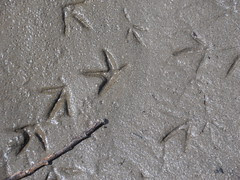 P7300062