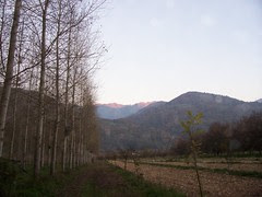 country walk