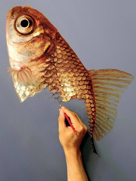 [新しいコレクション] 美しい 魚 イラスト リアル 331925