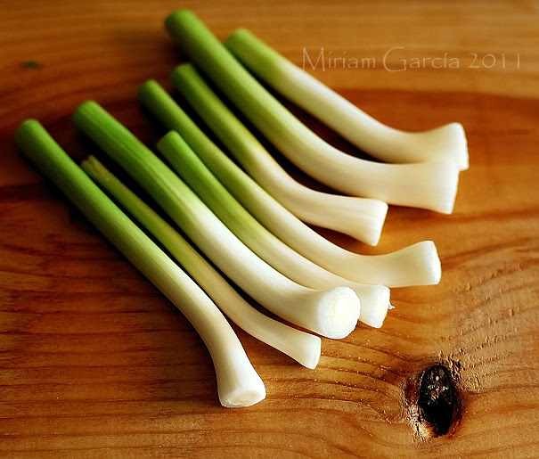 Soft garlic 3