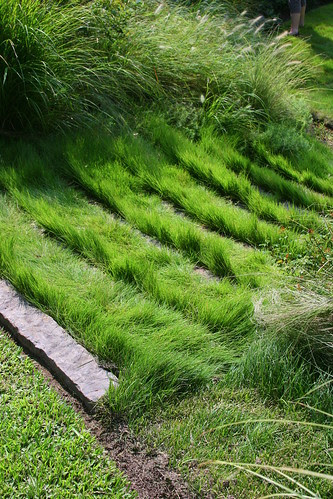grassy steps
