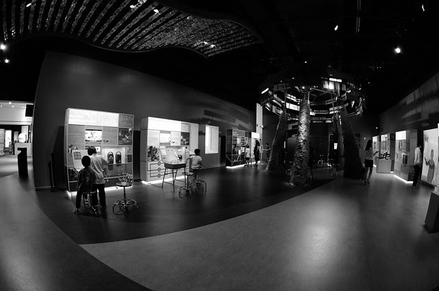 Fun with Pentax DA 10-17mm f/3.5-4.5 fish-eye