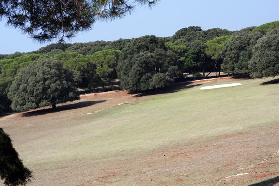 brioni polo fields