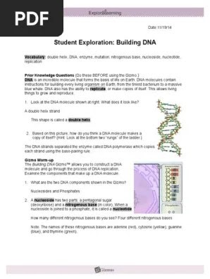 Student Exploration Building Dna Gizmo Answers Key Pdf - Https Info