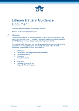 Lithium Battery Safety Document Template - klauuuudia