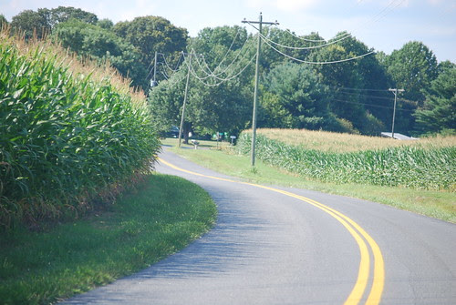 DSC_1421