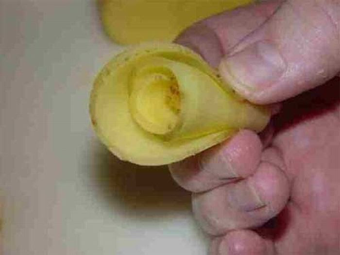 How To Make Potato Roses (13 pics) How To Make Potato Roses (13 pics)