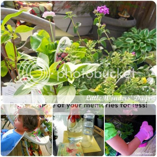 kids sensory garden, gardening with kids