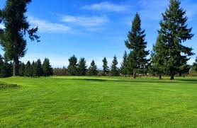 Golf Club «Tahoma Valley Golf Course», reviews and photos, 15425 Mosman Ave SW, Yelm, WA 98597, USA