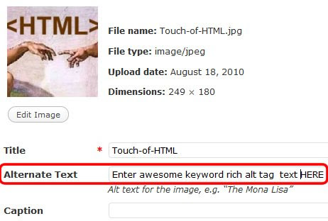 HTML tag HTML tag