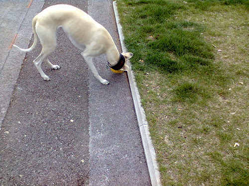 Foto0076