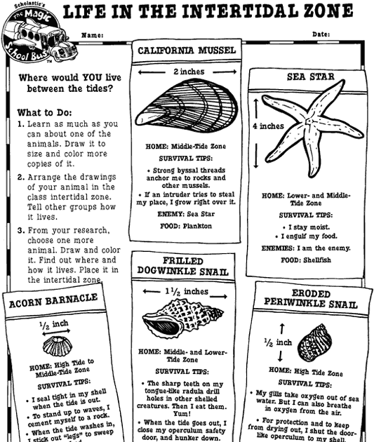 Ocean Zones Worksheet For Kids - Tawain Info