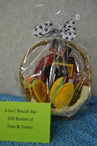 X-ta-C Toy and Treat Basket!