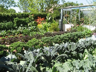 Chelsea Flower Show