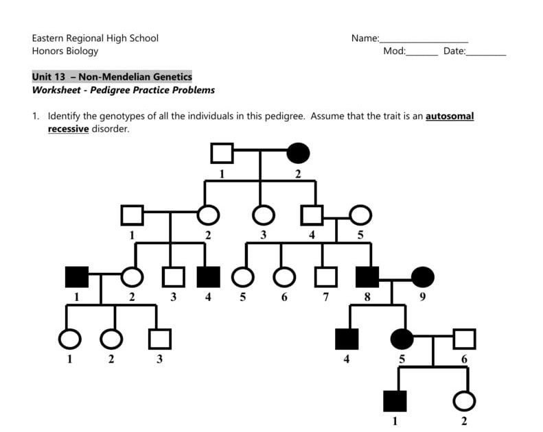 Answer Key Pedigree Worksheet - 30 Pedigree Worksheet Answer Key