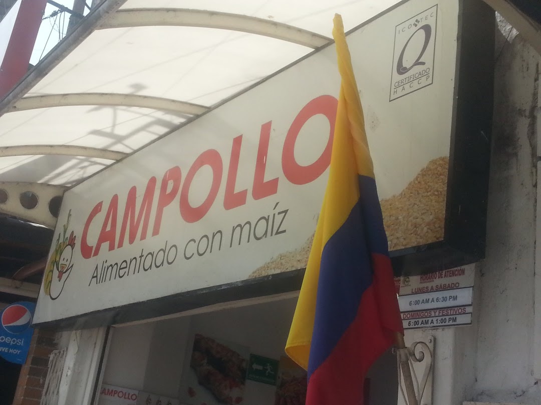 Campollo