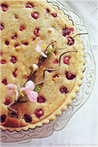 Torta finita 2