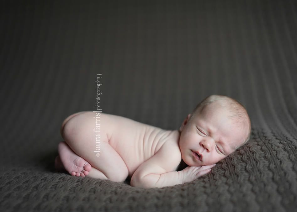 boise newborn photographer