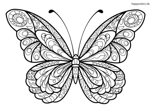 Schmetterling Malvorlage Kostenlos