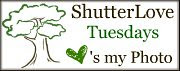 ShutterLoveT&JFavorites