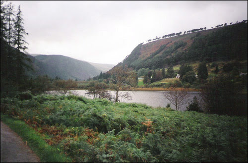 Wicklow?? 1990's