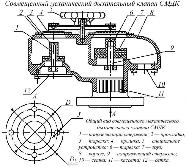 Место расположения двустворчатого клапана