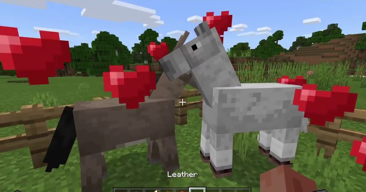 Can You Ride Horses In Leggings In Minecraft