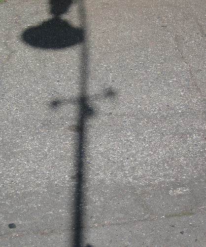 Shadow _ 8890