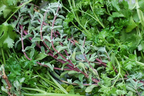 Fresh herbs by Eve Fox, Garden of Eating blog, copyright 2012