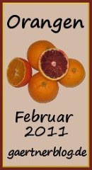 Garten-Koch-Event Februar 2011: Orangen [28.02.2011]