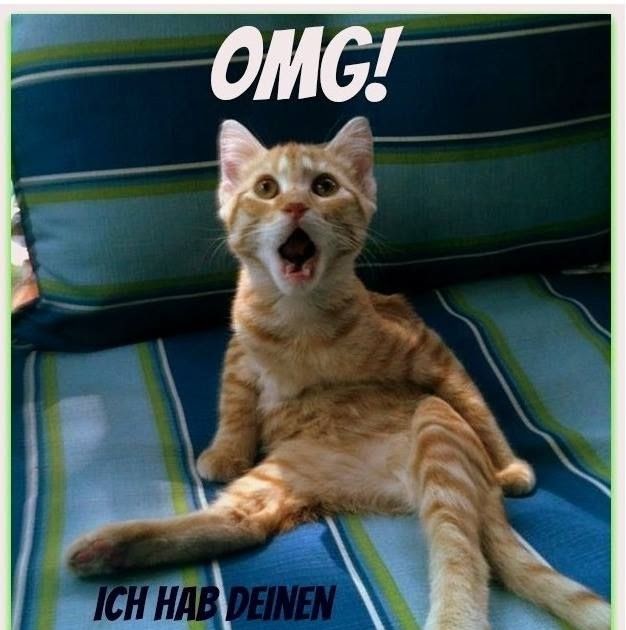 Geburtstag Bilder Lustig Katze Lustige Geburtstagsspruche Katzen Lustige geburtstagssprüche