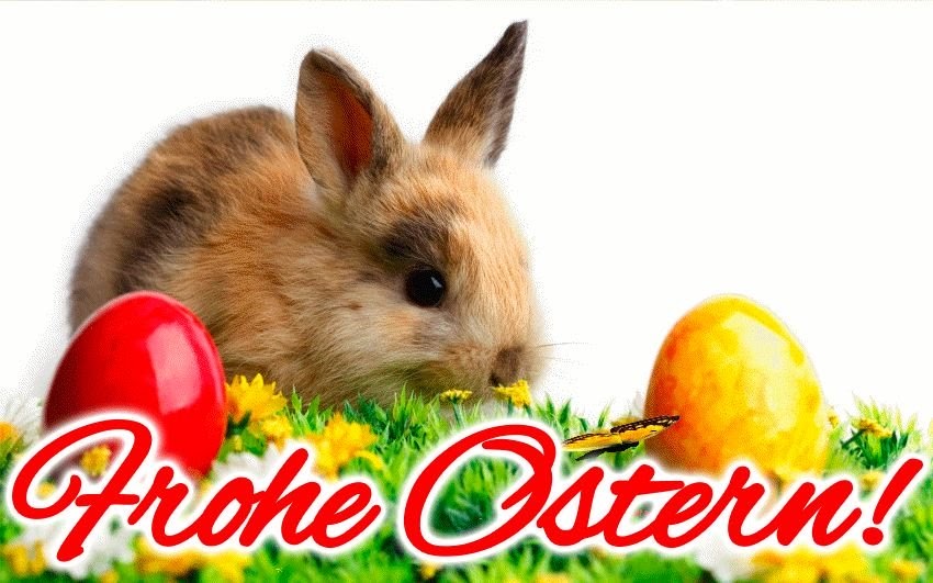 Osterhasen Bilder Zum Ausdrucken Kostenlos Malvorlage Osterhase mit