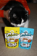 Josie learning what Catisfaction is