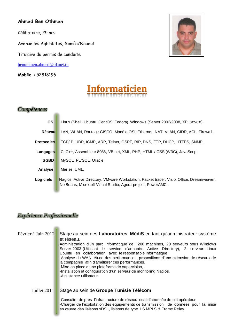 Example Resume Exemple De Cv En Anglais Tunisie