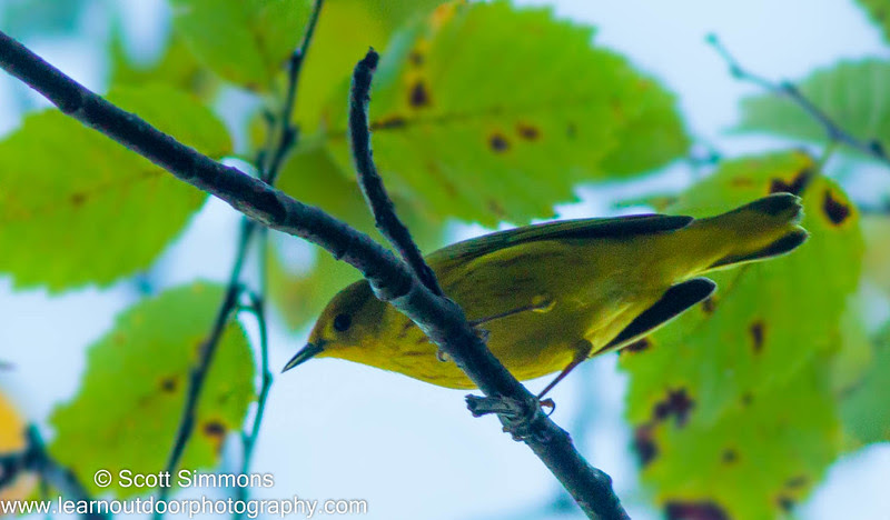 Photo & Video Sharing by SmugMug Photo & Video Sharing by SmugMug