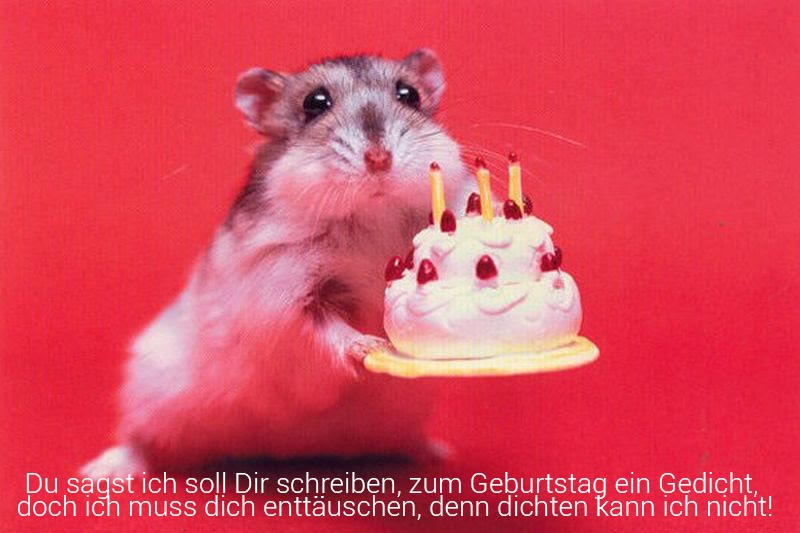 Geburtstagswünsche Karten Gratis Ausdrucken