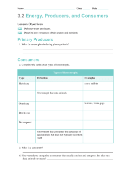 Producers And Consumers Worksheet - Worksheet List